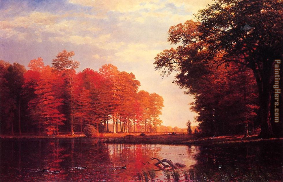 Autumn Woods painting - Albert Bierstadt Autumn Woods art painting